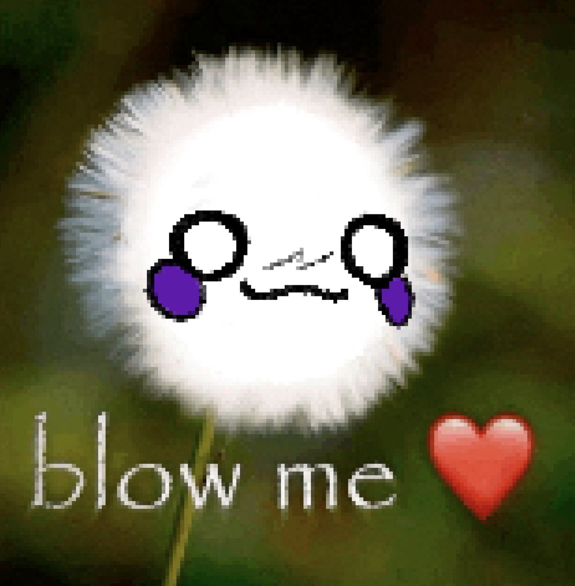 ItaKondr3200 tweet media