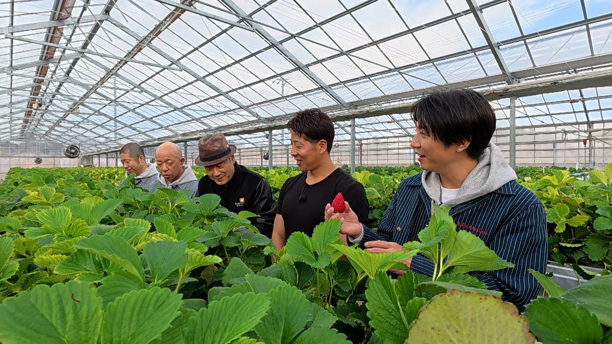 オリコンニュース tweet media