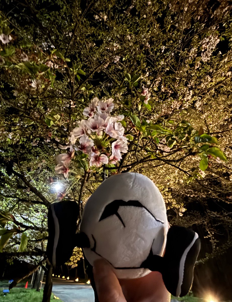 りんりん tweet media