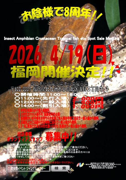 nagatukasa's tweet photo. 【🎊第5回福岡開催決定🎉】

2026.4/19(日)・福岡・西日本総合展示場本館

【HP👇】
https://t.co/flku0m3jrX
【youtube👇】

【主な出展者】
@JapanHunterAss @utautai_penguin @gobius_nd @repaniAya @hacyunga_ngs_ih @zVvWD0645ZLq3IL @obakadaichuki23 @inhabit_fukuoka @reptile_CRESTA @HideSeek19 @hachu_root @rororo202309 @Vhf1YNgq30g7Fui @FUKUGYOUch @Ren20221025 @riorio840003 @OG91949727 @HaniwaMofumofu @BE90027782 @KleinesGluck_N @42Bombaye @takasho_petshop @megaka10 @pyoNnDMvGLS4rte @fattail_osaka @tabkunleopa @ago_ikimono @gyui_rock_esp

#爬虫類 #カメ #ヤモリ #出店募集受付 #爬虫類イベント #JH福岡 #ジャングルハンター #ジャングルハンター福岡 #福岡 #拡散希望