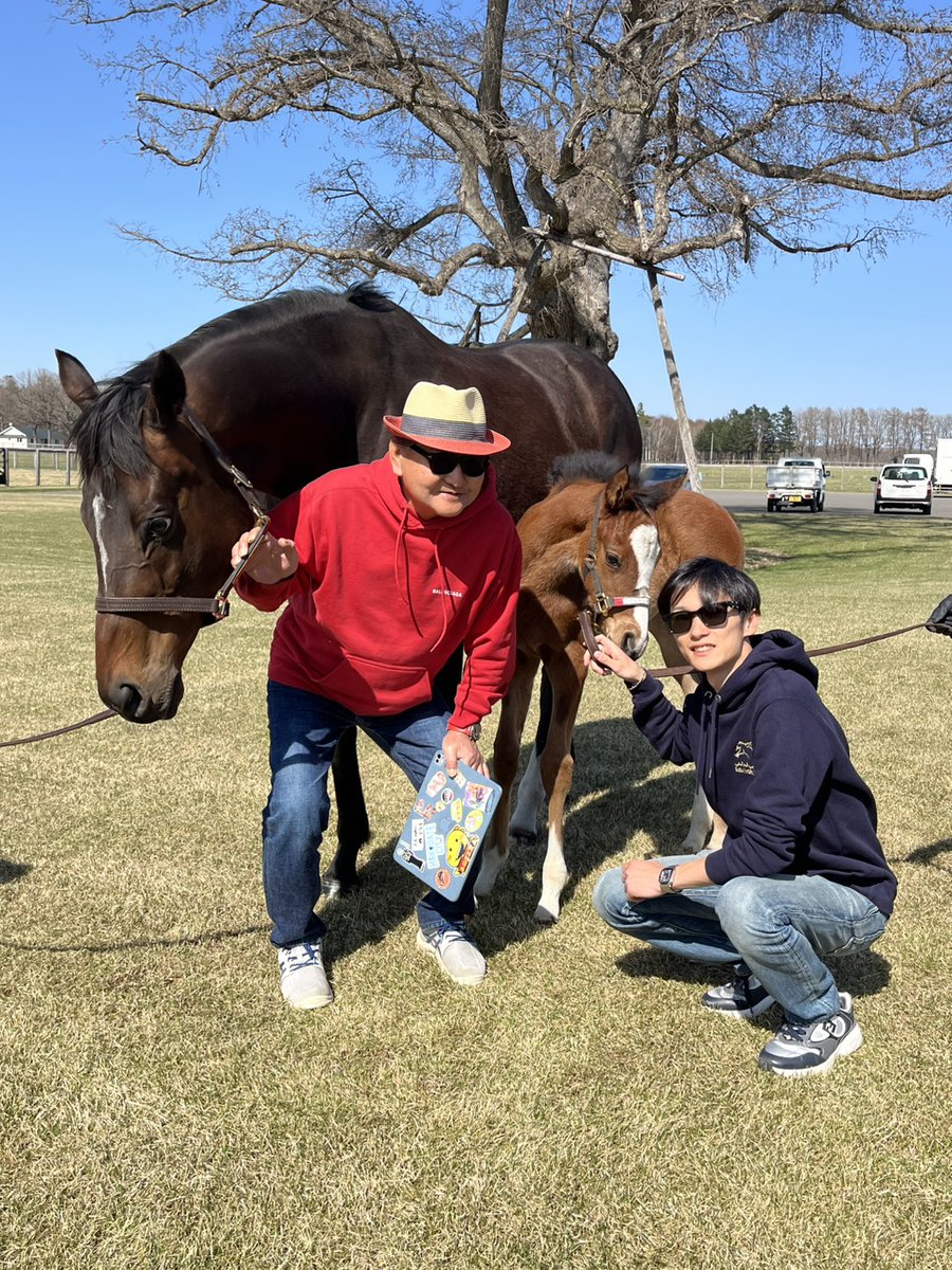 矢作芳人厩舎【公式】 tweet media