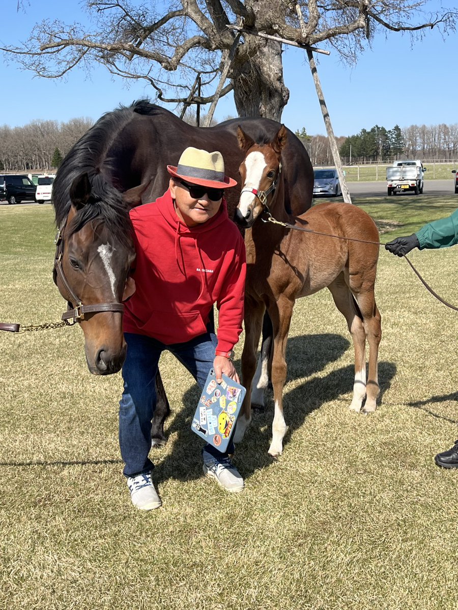 矢作芳人厩舎【公式】 tweet media