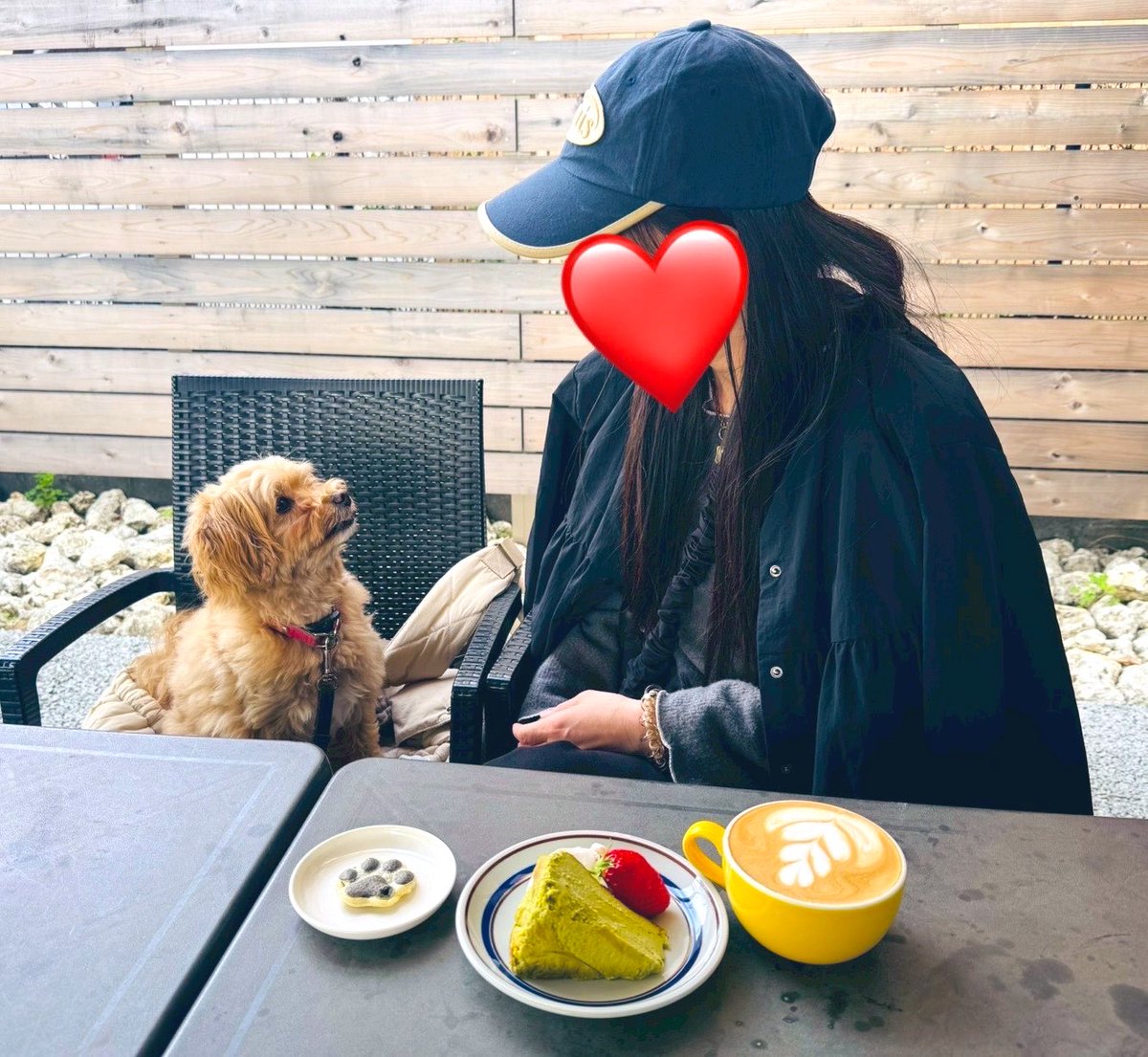 あんりんご🦌❤️ tweet media