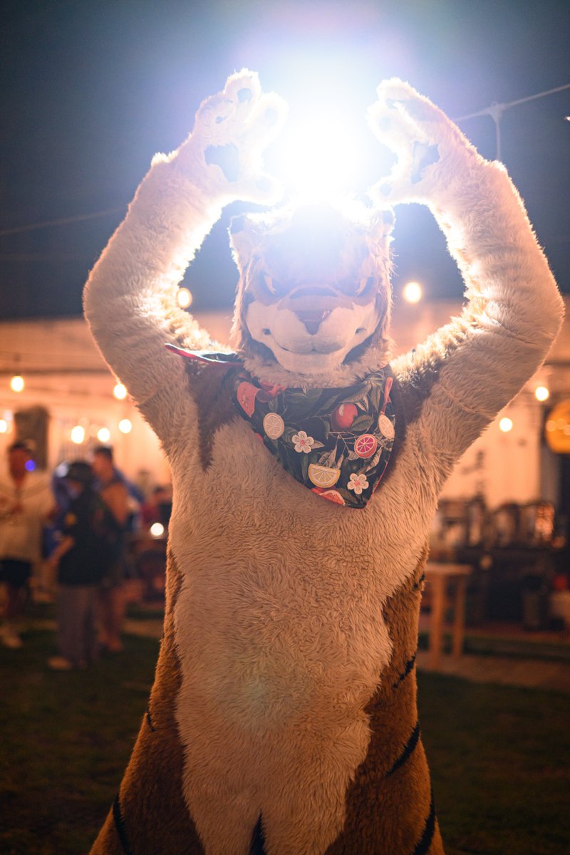 Vincent 🔜 UTFG tweet media