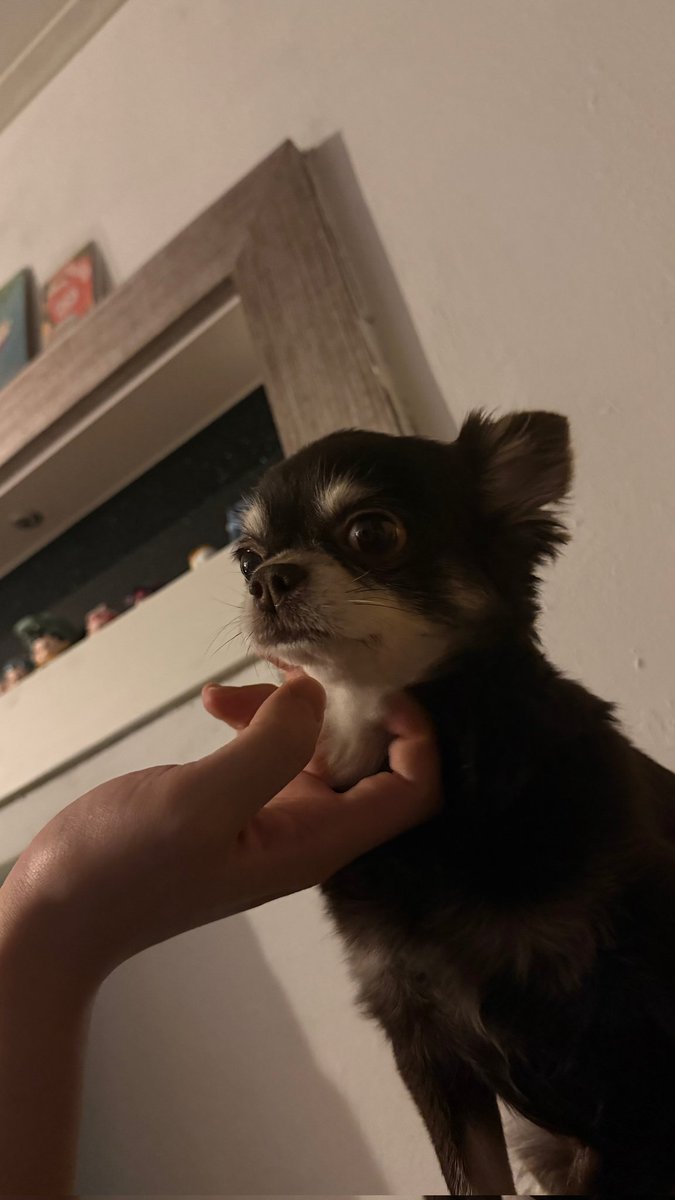 동네주민 tweet media