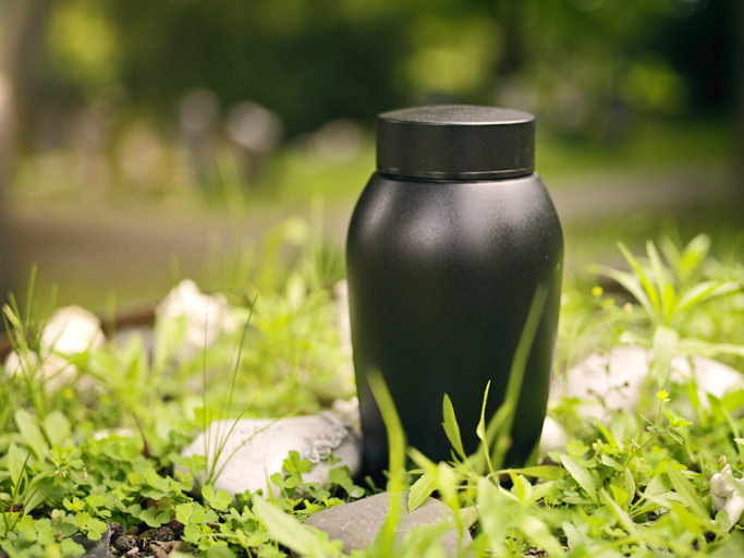 BeersSolicitors's tweet image. What Happens to Ashes After Cremation?

Understanding Your Options - and Why Planning Ahead Matters.

Learn more: beersllp.com/what-happens-t…

#Beers #Solicitors #Kingsbridge #Plymouth #Devon