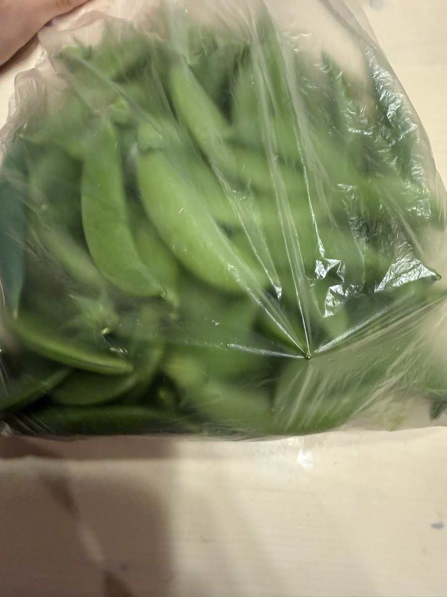 Riki(リリくん🦋＋キキ🦌リリキキ) tweet media