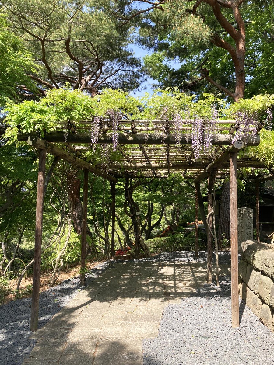 五島美術館 (@gotoh_museum) / Posts / X