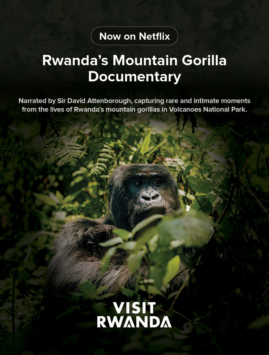 Visit Rwanda tweet media
