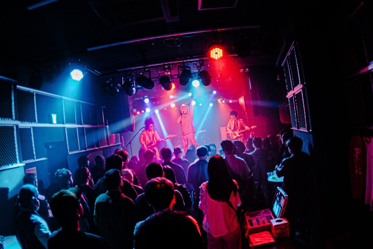 クレフィー tweet media