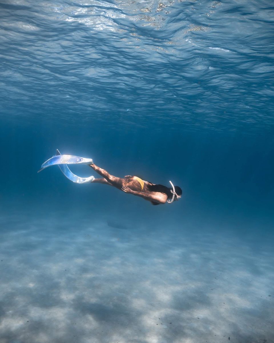 ksssfy's tweet photo. mermaid hyacinth 🧜‍♀️ https://t.co/27LXwgjkS1