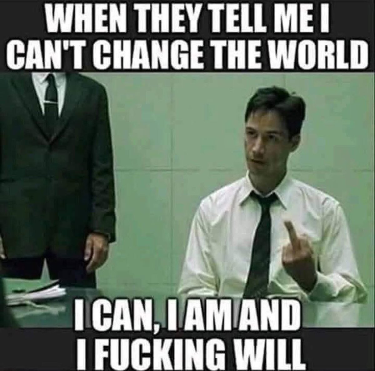 Claire Taylor 🇬🇧ioekah Lumish , ( Alcyone ) tweet media