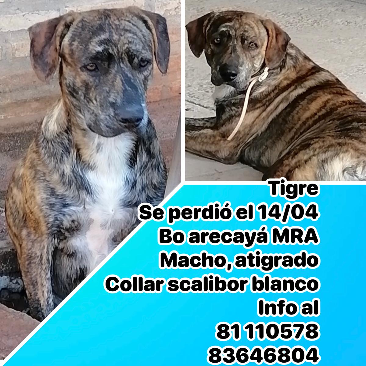 antoniomaluge tweet media