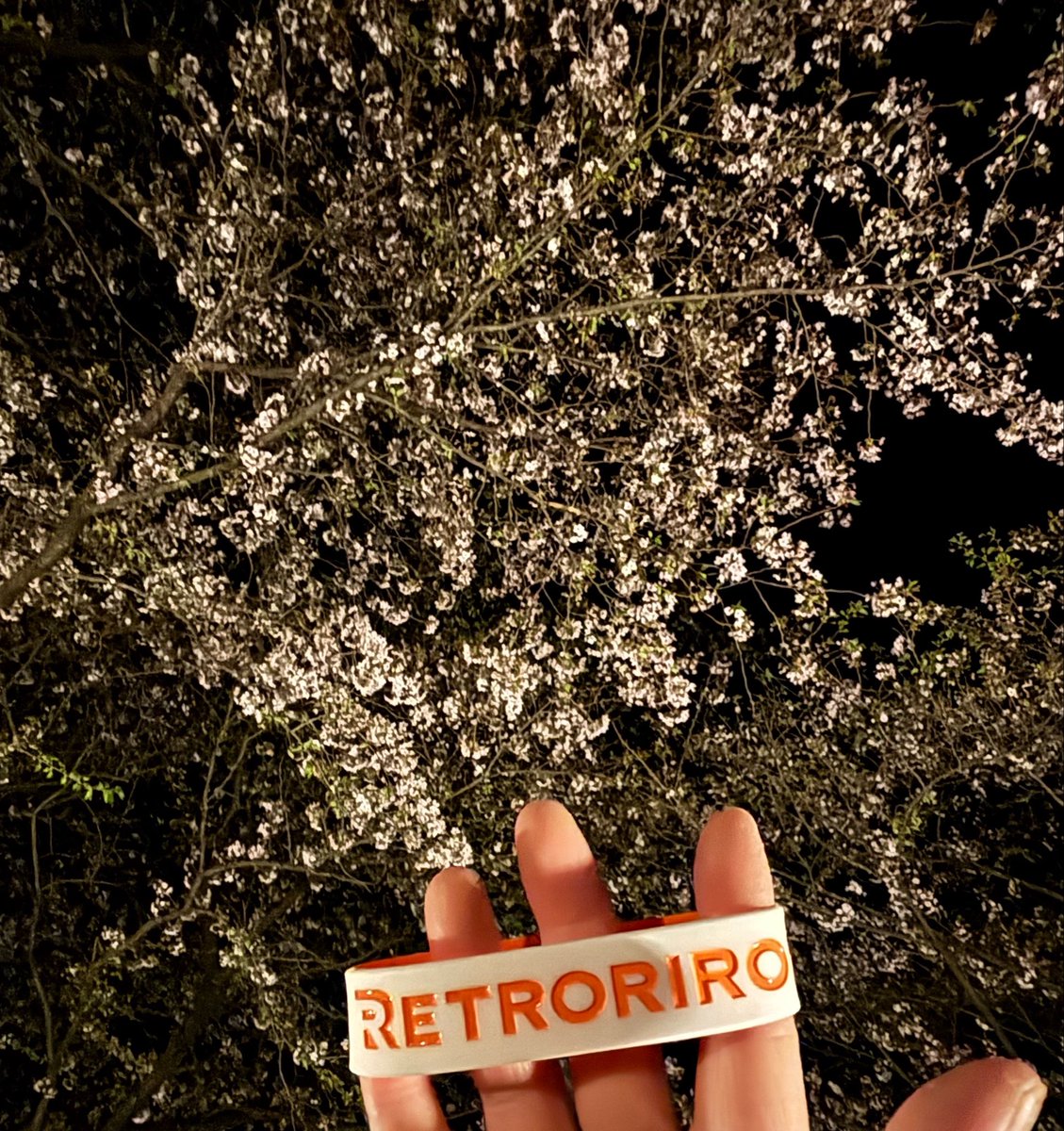 りんりん tweet media