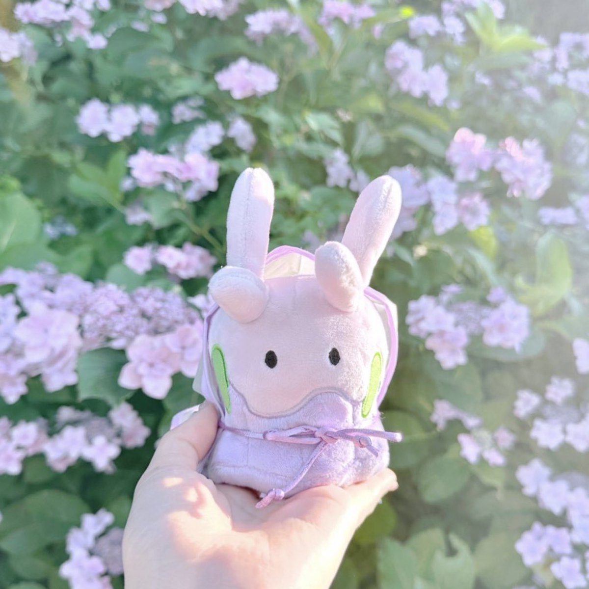 pokemen151's tweet photo. #自慢できるお花とぬいの写真みせて https://t.co/l6iDHEyeKC