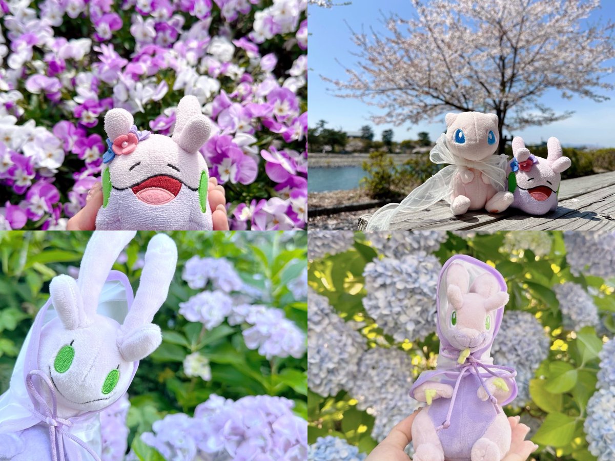 pokemen151's tweet photo. #自慢できるお花とぬいの写真みせて https://t.co/l6iDHEyeKC