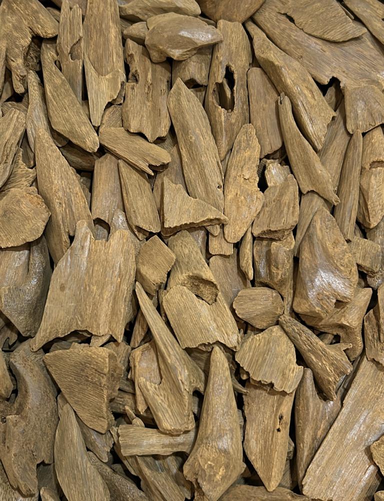 ؏ــبــدﷲ[حكاية عطرية] tweet media