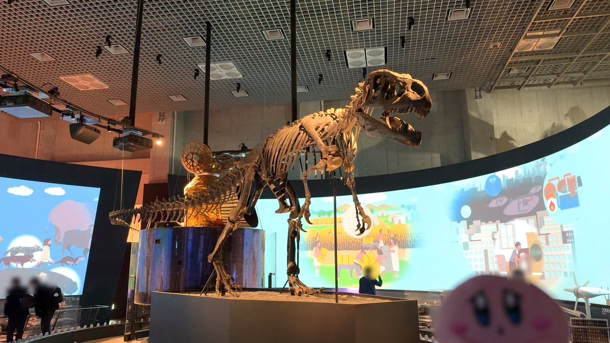 あめにん🍣🐙 tweet media