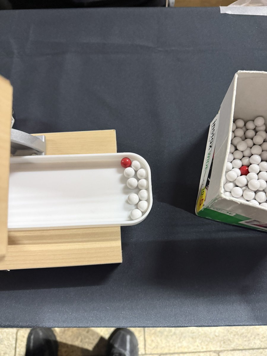 いるか🐬 tweet media