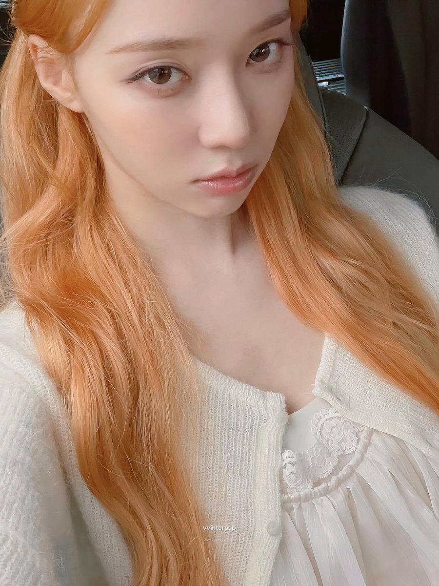 겨울 tweet media