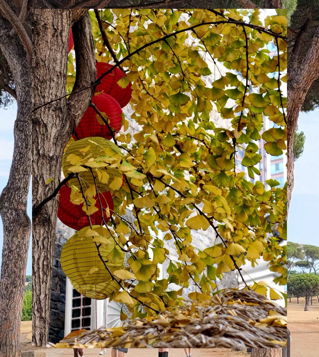 Bryan Castillo tweet media