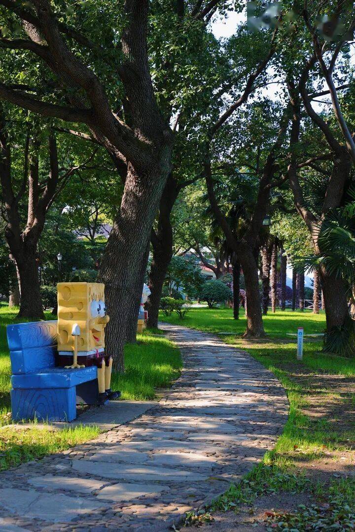 Lindsay Fuller tweet media