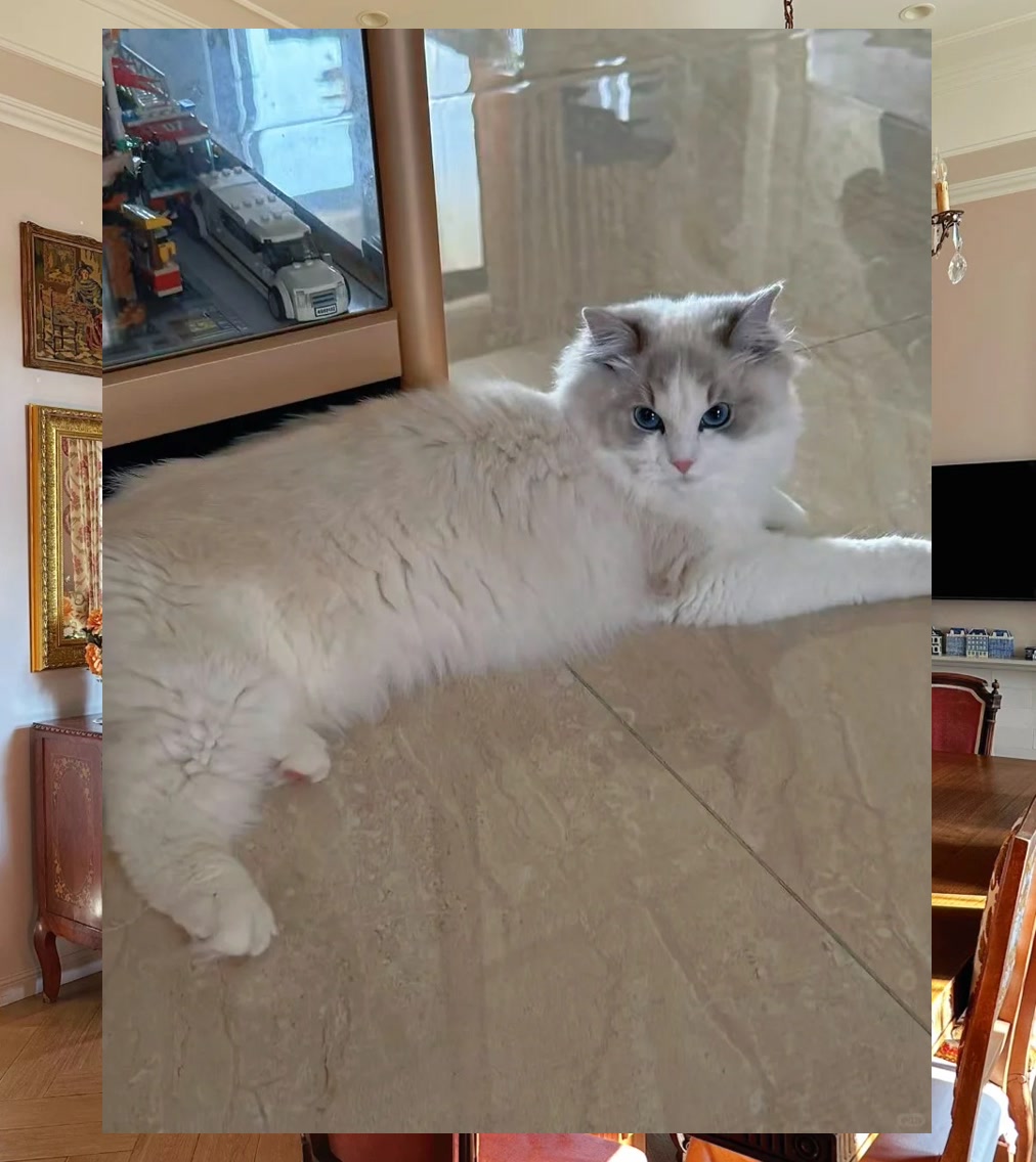 Ricky Fulce tweet media