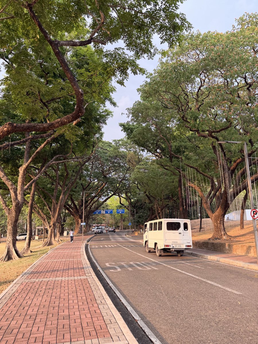 The Curious One tweet media