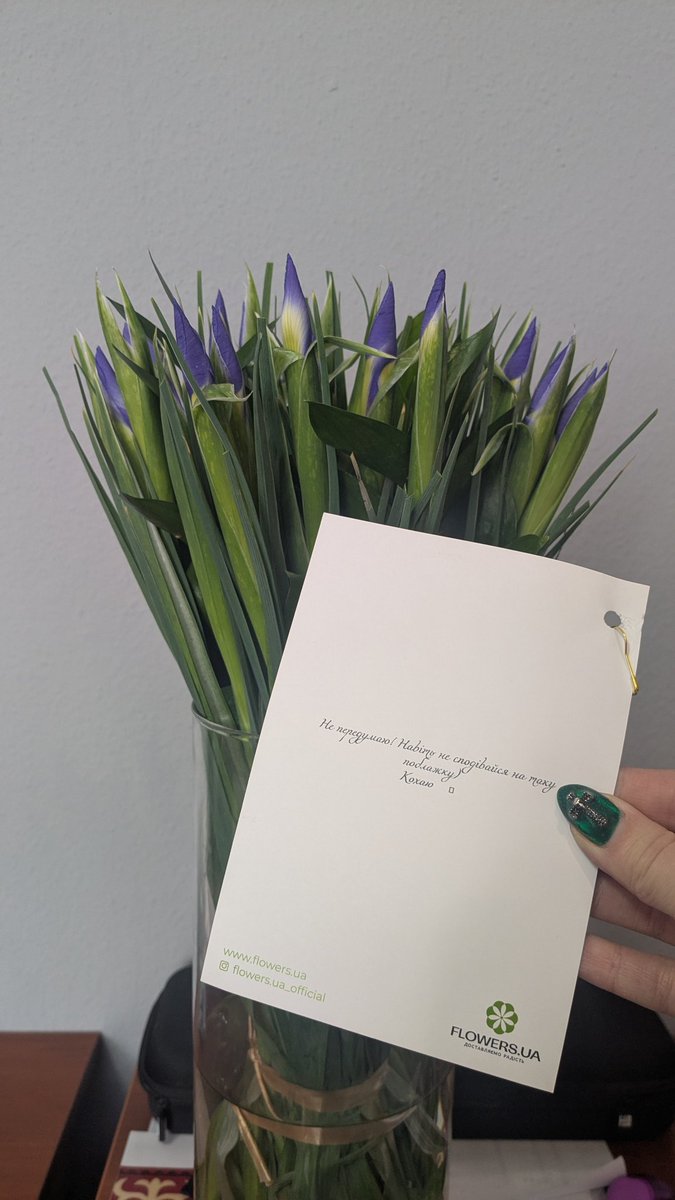 Недовіра до чоловіків, вона така 🤣
«Телефон видали на пару хвилин, я швиденько»
*кидає пропозицію в Дії, щоб я точно переконалась, втиху замовляє улюблені іриси*