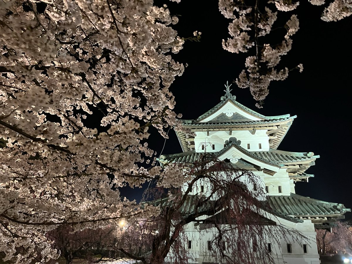 もええ tweet media