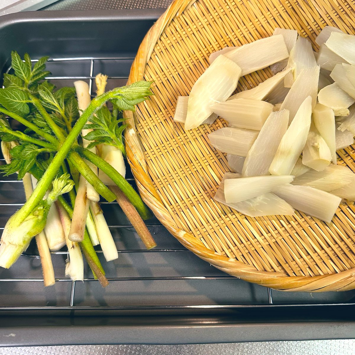 よつば ꕤ*.ﾟ tweet media