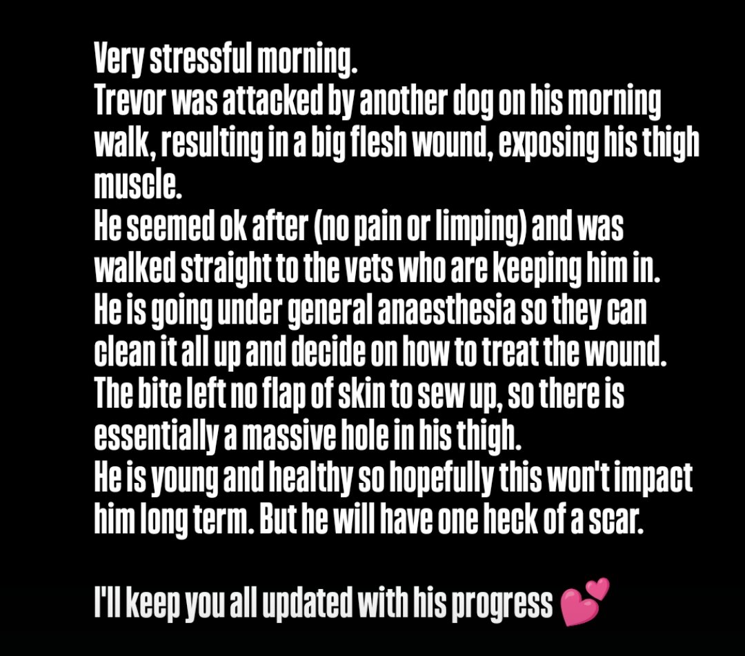 Jonesy 👽 tweet media