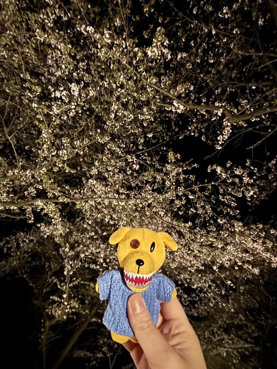 りんりん tweet media