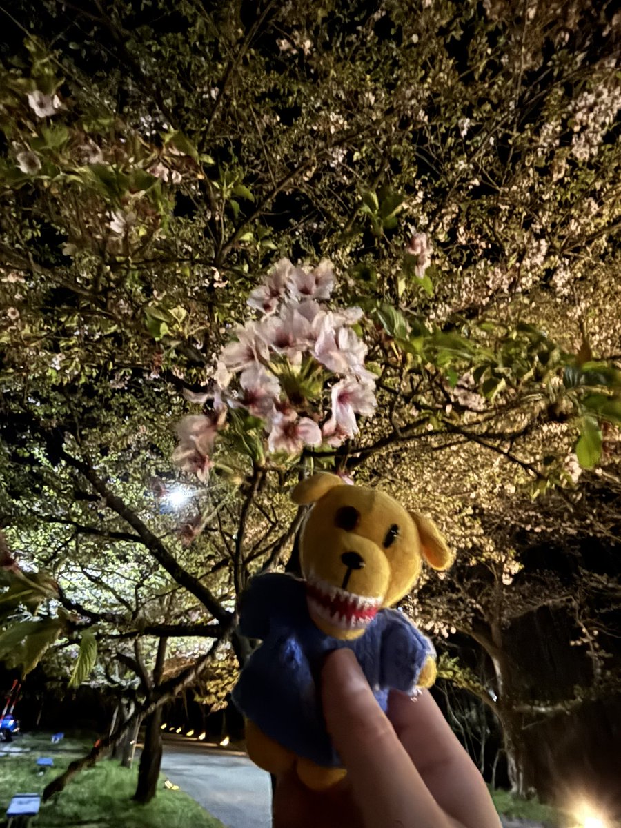 りんりん tweet media