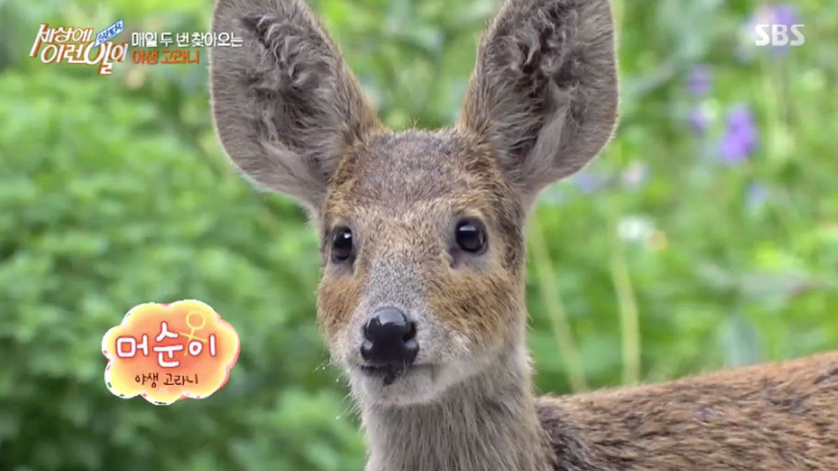 뿌끌🍀 tweet media