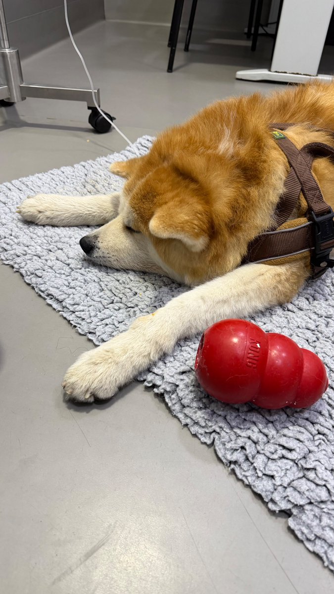 Bart Nijman tweet media