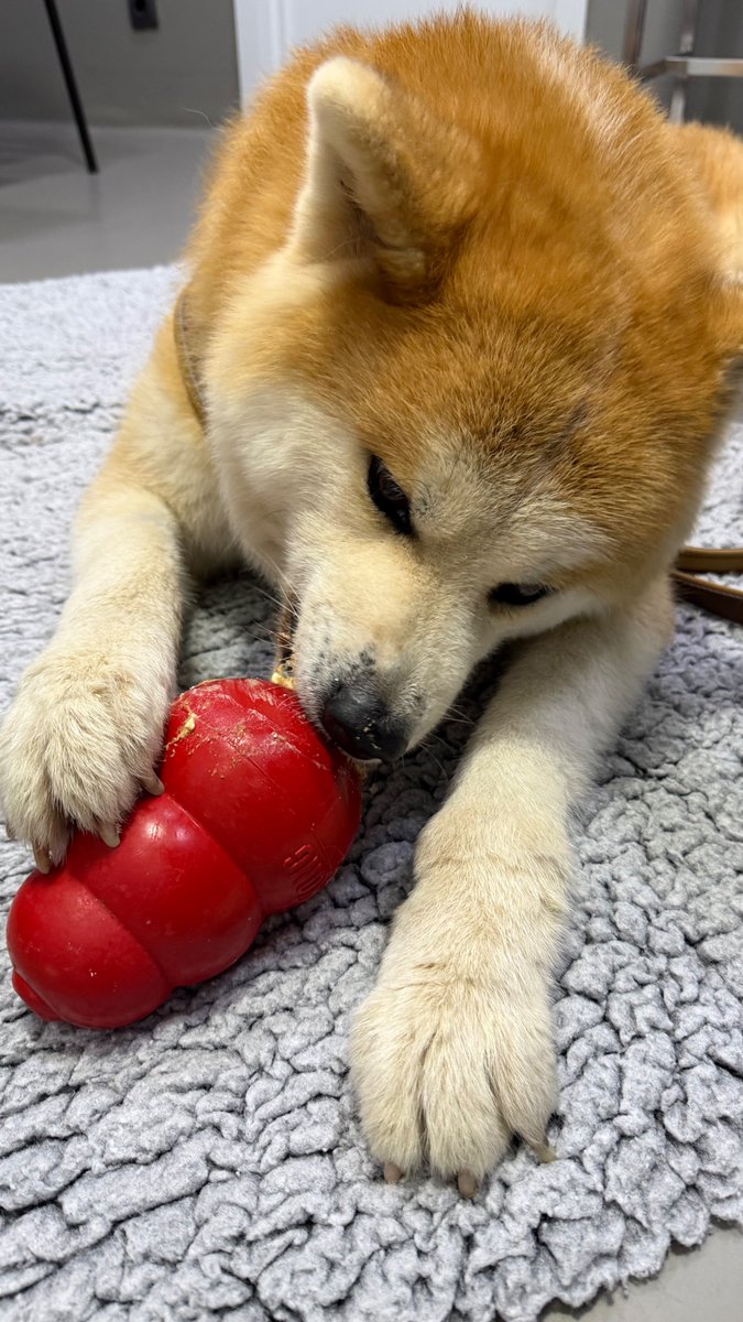 Bart Nijman tweet media