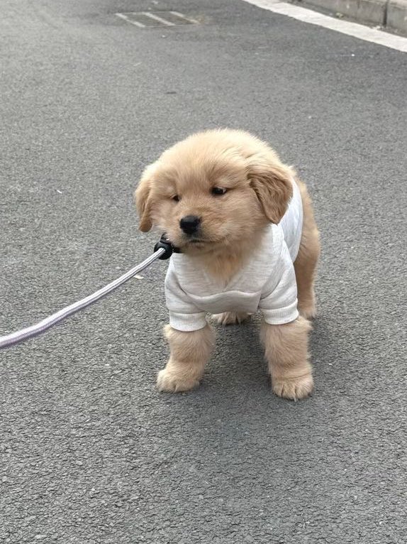 เก้ารัญชน์ tweet media