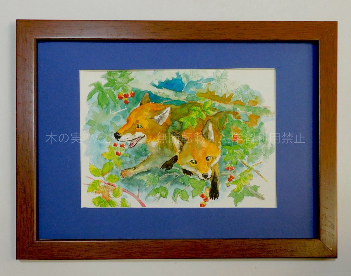 木の実 Wolf Berry tweet media