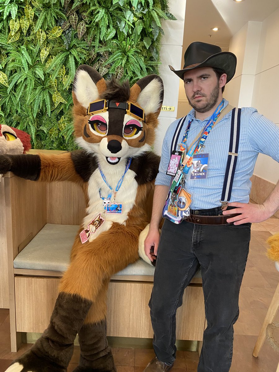 Mini Buffalo tweet media