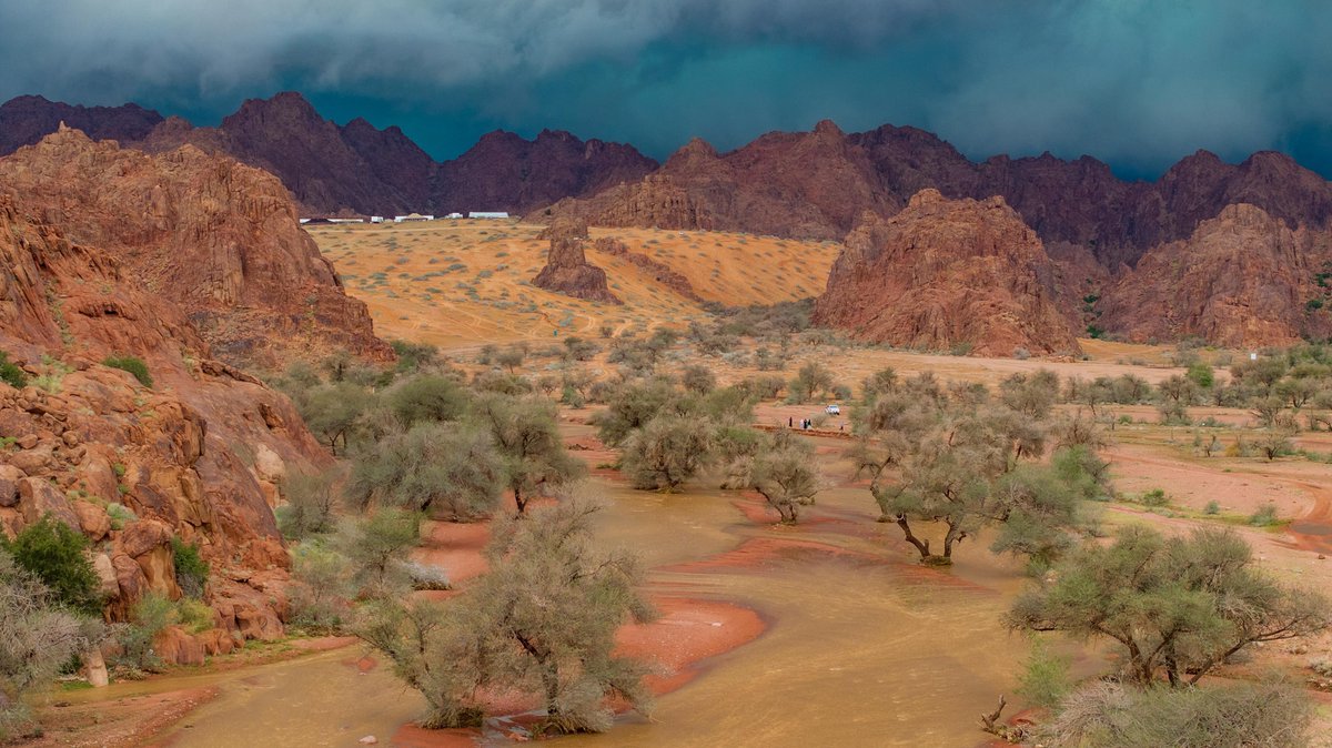 Amanat_Hail's tweet photo. • #أمطار_حائل

الطلح 🌳
الماء 💧
البطحاء 🤎
الرمال 🏜️
الجبال ⛰️

⬆️ هذه المكونات في مكان واحد 💁🏻‍♂️
📍

📸 | #حائل_الأجمل • #أمانة_منطقة_حائل https://t.co/e6Ggt1sLxv