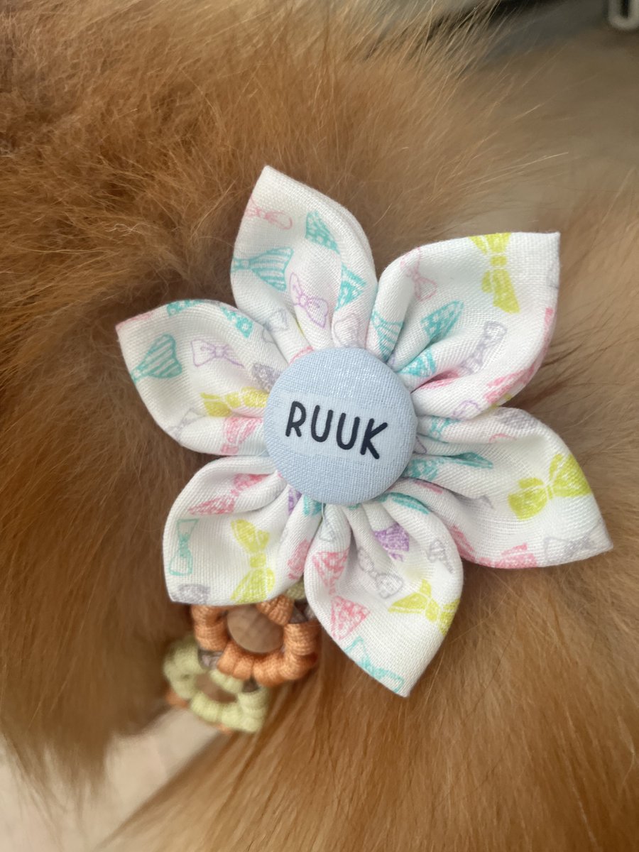 R U U K🐾 tweet media