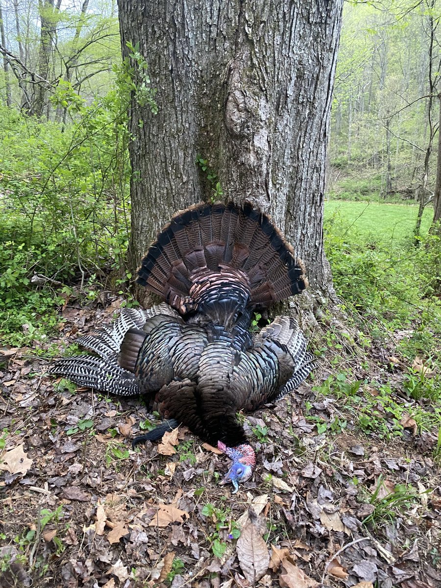 DavidYeater's tweet image. 🦃🦃🦃 days to go #FlashbackFriday