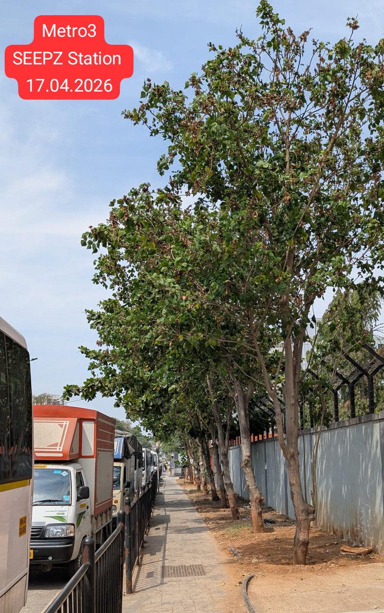 Zoru Bhathena tweet media