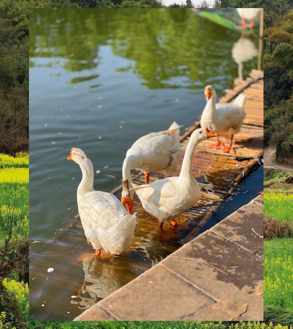 Terry Lewis tweet media