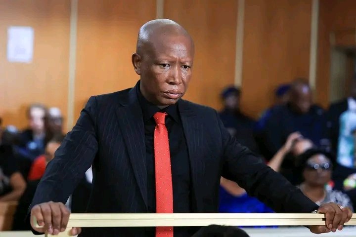 ClasscCliff's tweet photo. Stop Anti-indigenous oppression. Stop Anti-indigenous discrimination. Stop Indigenous rights suppression. Resist anti-indigenous oppression. Free Julius Malema. Injury to one is injury to all. #malemasentenced https://t.co/HxafhFgUW9