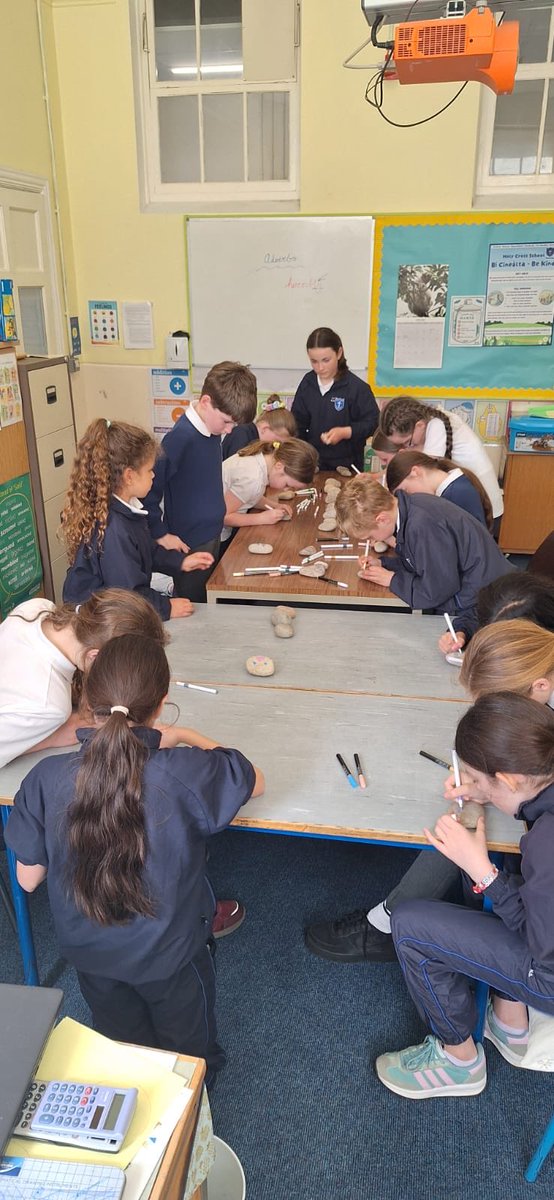 HCDundrum's tweet photo. Our Amber Flag committee have been busy decorating rocks with positive messages for our garden! https://t.co/kdwZh1VDXg