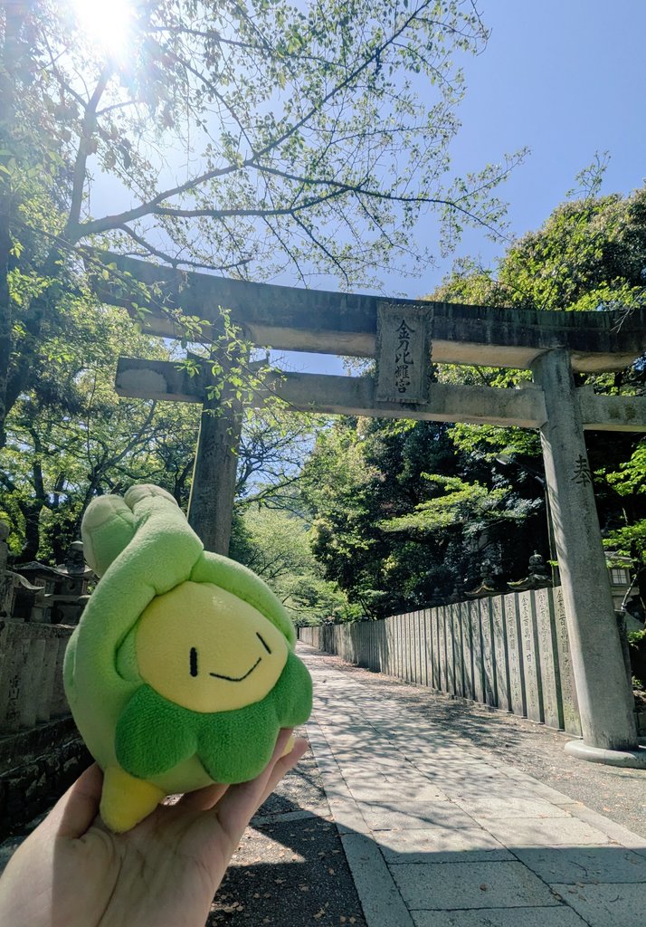 飛天🌱新刊通販固定にあります！ tweet media