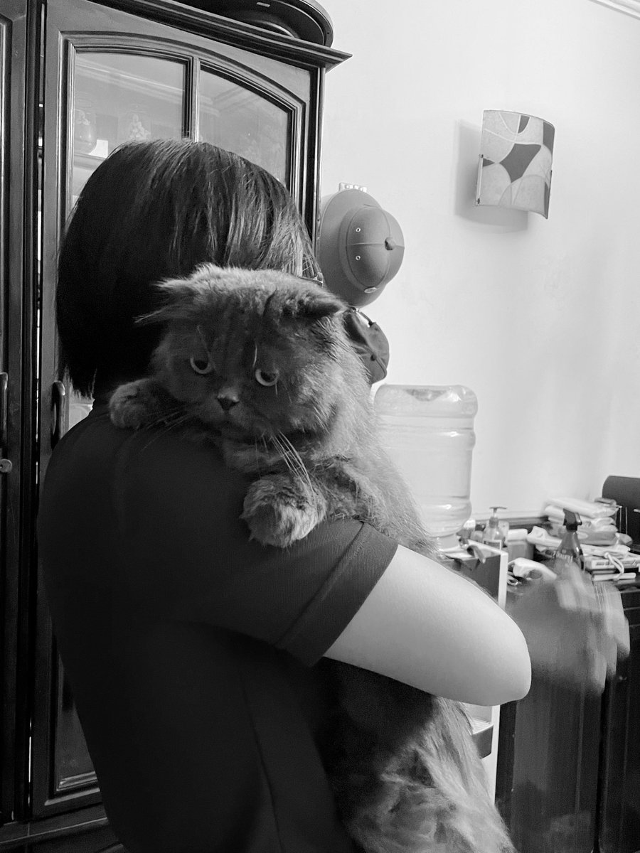 Cafefinn tweet media