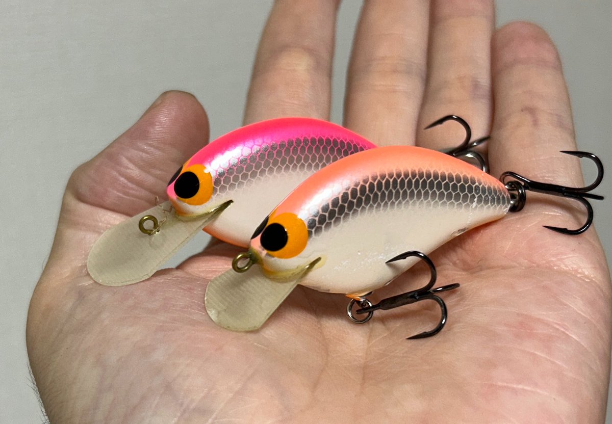 アライ手洗いうがい tweet media